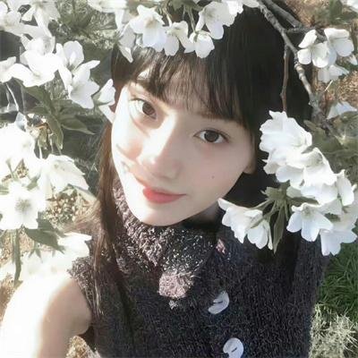 巴西风月